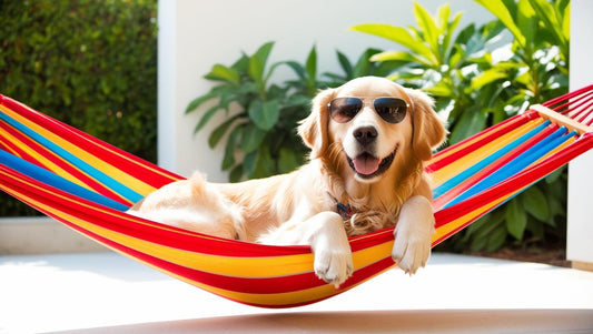 Why Are Dogs So Loyal? Because They’re Good Buggers, That's Why!