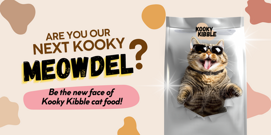 Fame Awaits: Your Kooky Cat Could Be the Next Face of Kooky Kibble!