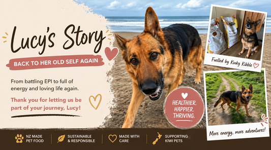 Lucy's Story: Back to Her Old Self Again 🤎