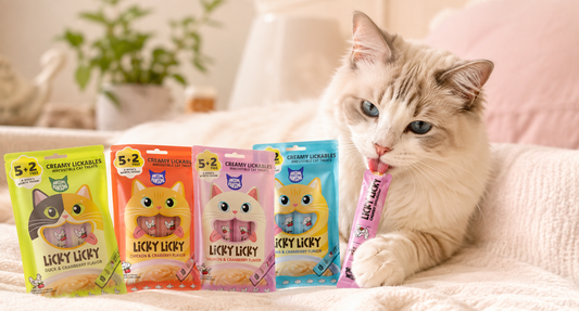 Make Every Day a Licky Licky Day with Awesome Pawsome Licky Licky