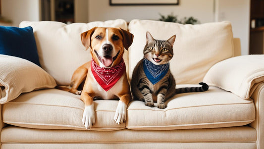 Can Cats and Dogs Laugh and Smile? And Other Furry Mysteries Explained! - Kooky Kibble NZ