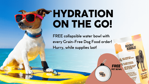 Explore NZ’s Best Dog Parks + A FREE Collapsible Bowl! - Kooky Kibble NZ