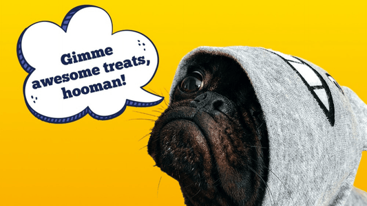 Teach Your Dog New Tricks with Awesome Pawsome All-Natural Bacon Treats! 🥓🐾 - Kooky Kibble NZ