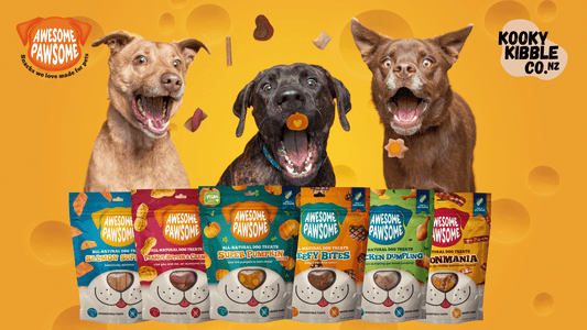 Why Give Your Doggie Grain-free Treats? - Kooky Kibble NZ