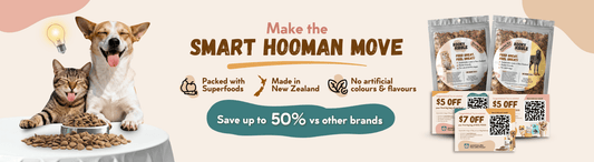 Why Smart Hoomans are Switching to Kooky Kibble? - Kooky Kibble NZ