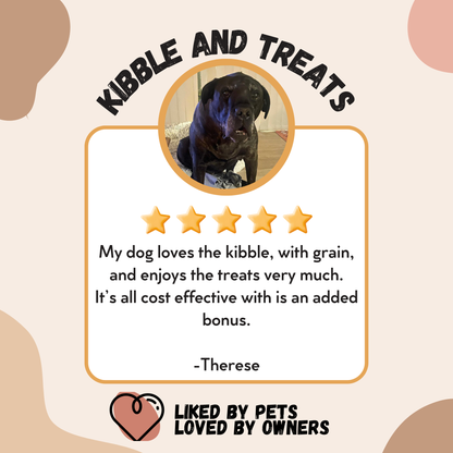 KNomNoms Assorted Dog Treats (250g)