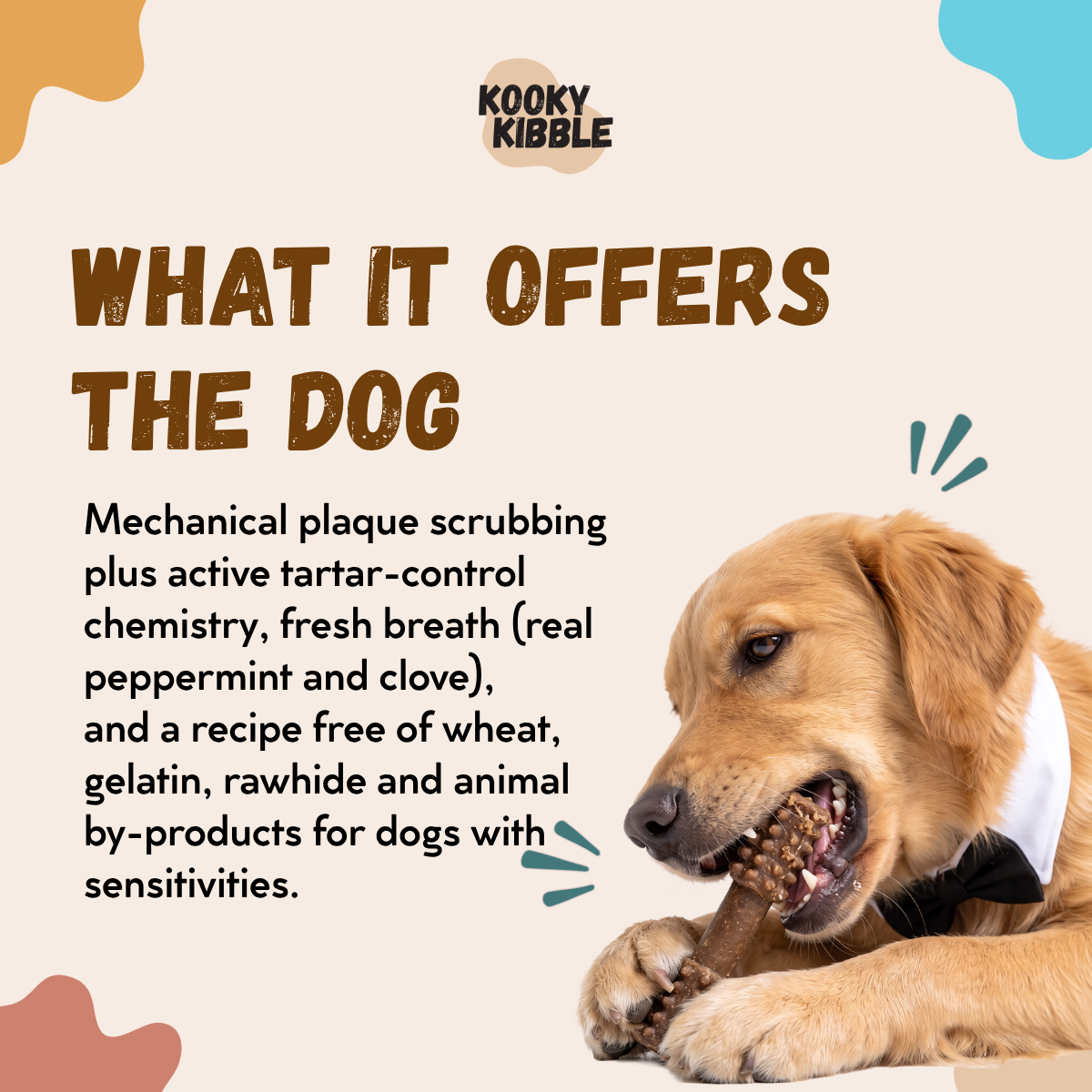 Kooky Dental Treats – Daily Dental Chews for Dogs