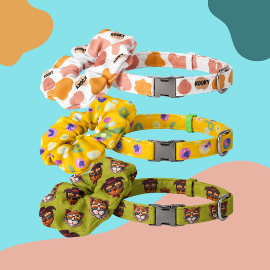 Four pet accessories arranged vertically on a pastel abstract background: a white collar with peach patches and the brand name KOOKY, a yellow scrunchie with multicolor dots and matching yellow collar, a green collar with a cat face print, and a pink-and-white scrunchie with peach patches.