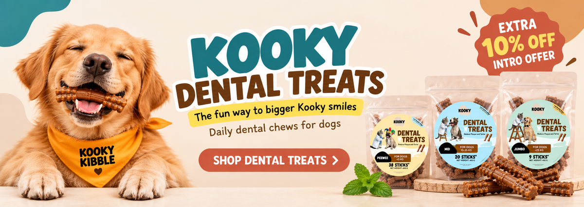 Promotional banner for Kooky Dental Treats featuring a smiling golden retriever wearing an orange bandana with the brand name. Three packaged dog dental chews are shown on the right, along with treats and mint leaves, with text offering an extra 10% off intro offer.