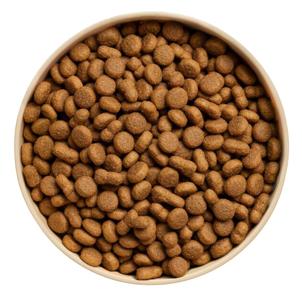 Kooky Kibble Dry Dog Food