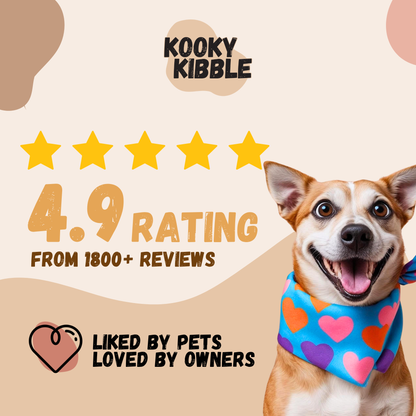 New Zealand Dog Kibbles and Dog Treats Bundle Deals