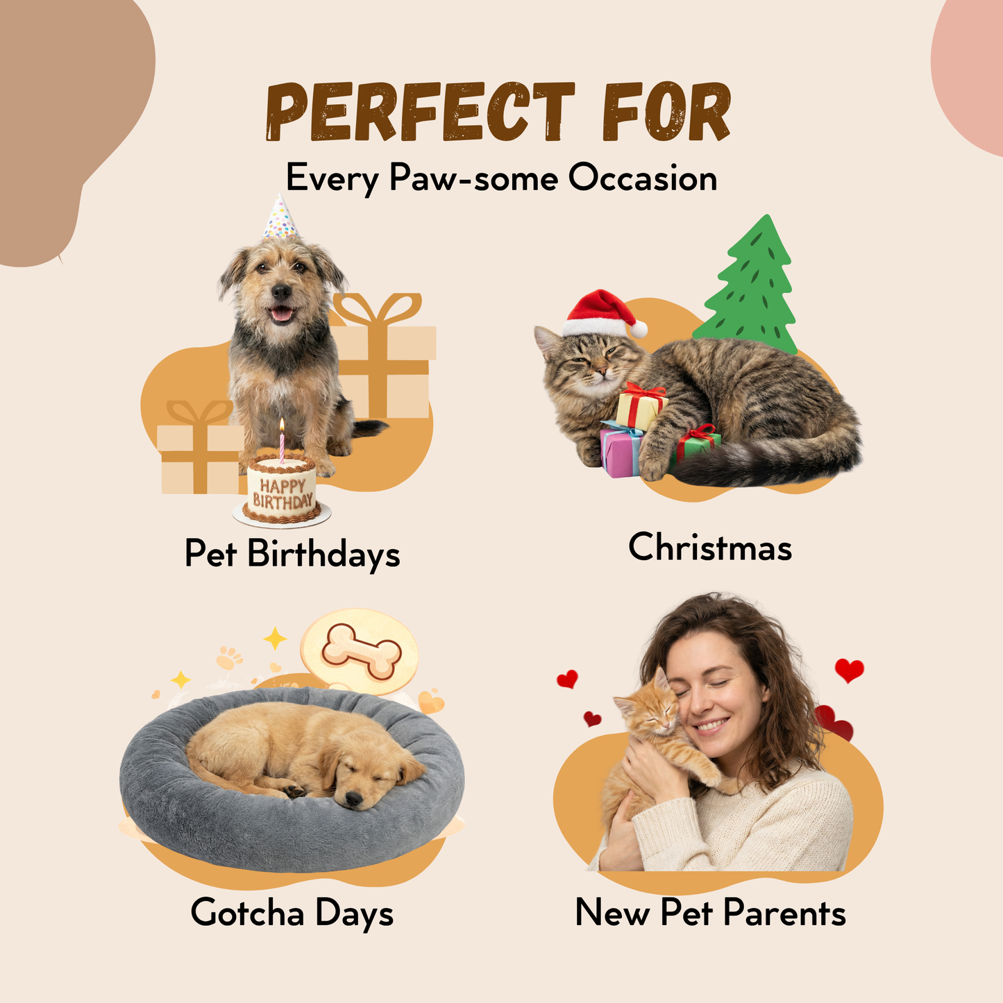 Kooky Kibble E-Savings Card