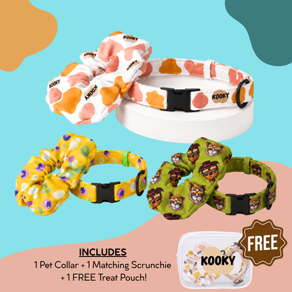 Kooky Matchy Mate Scrunchie & Pet Collar Set