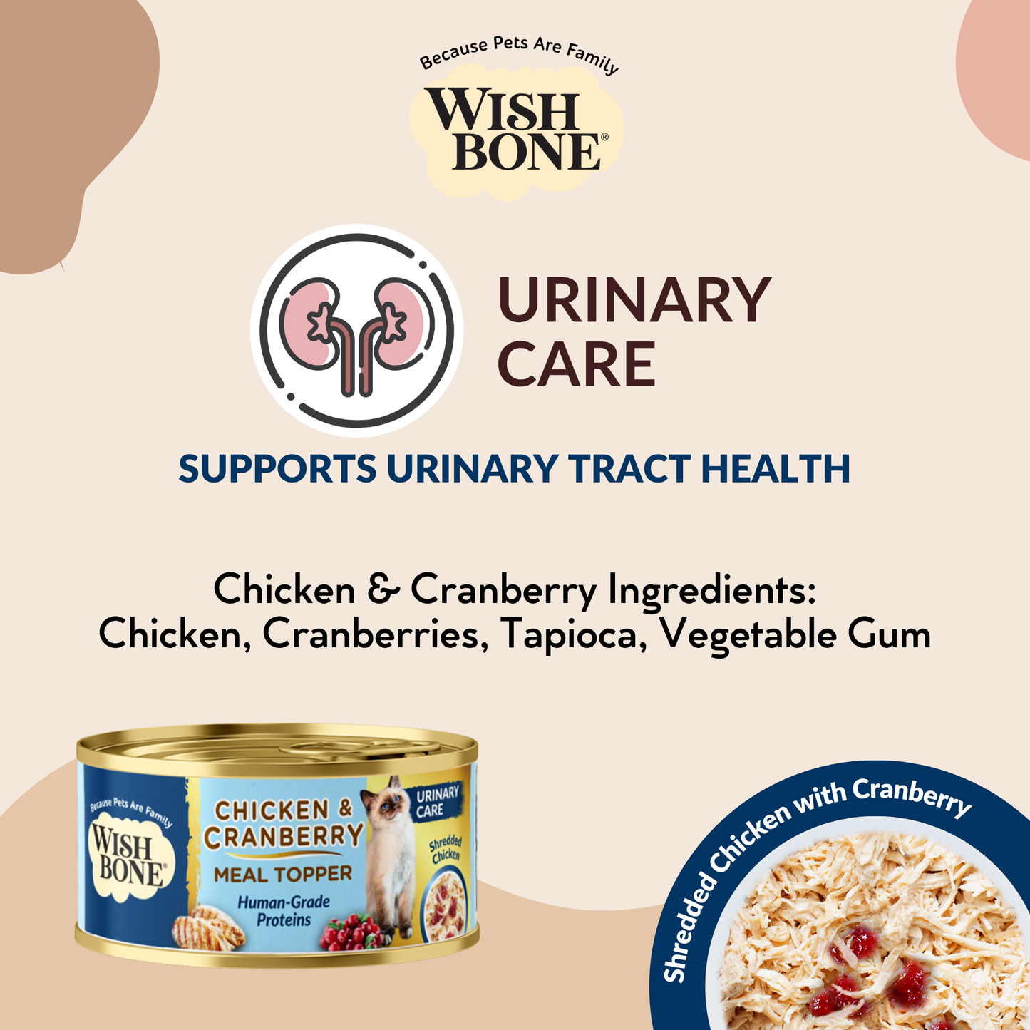 New Zealand Cat Kibbles and Cat Meal Topper Bundle Deals