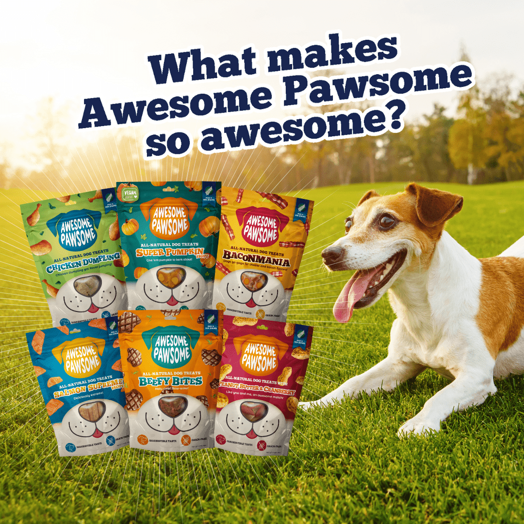 Awesome Pawsome Dog Treats - Kooky Kibble NZ