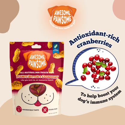 Kooky Kibble Awesome Pawsome dog treats bag packaging