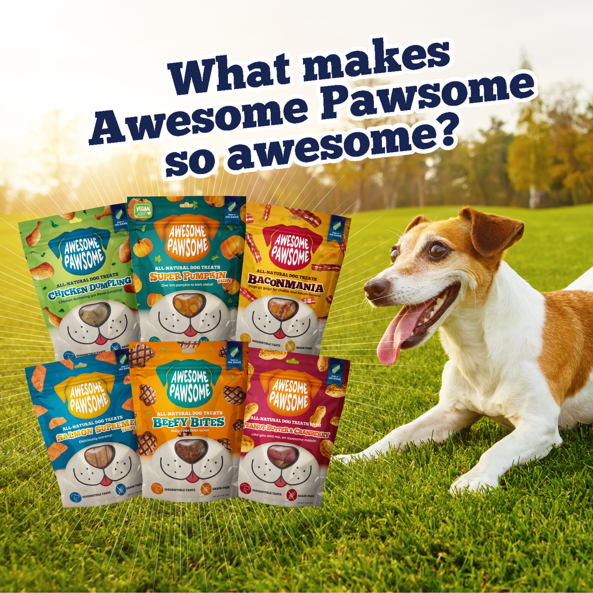 Natural dog reward treats Awesome Pawsome snack bites