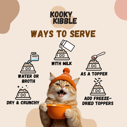 Cat food starter kit for testing new flavours