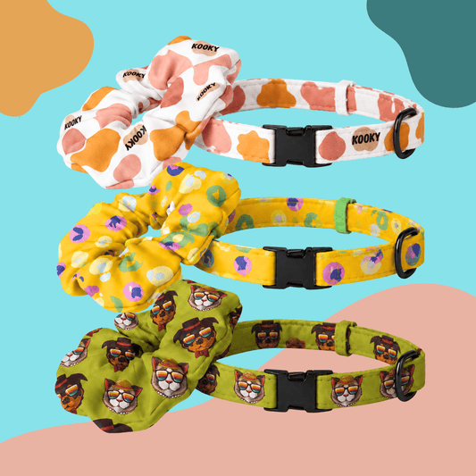 Kooky Matchy Mate Scrunchie & Pet Collar Set - Kooky Kibble NZ