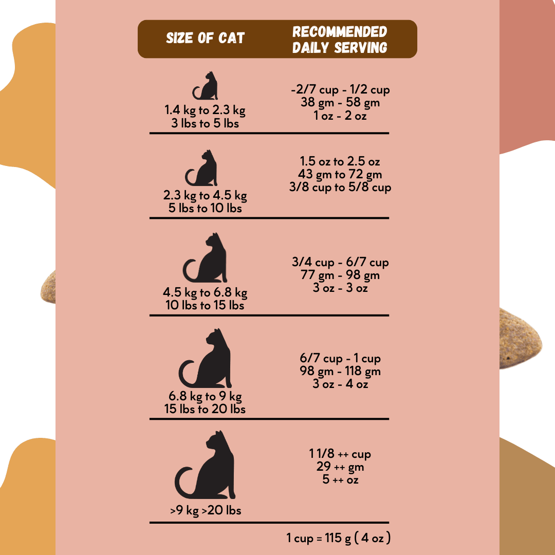 Feeding Chart What Food Can You Give Kittens Month Old Kitten