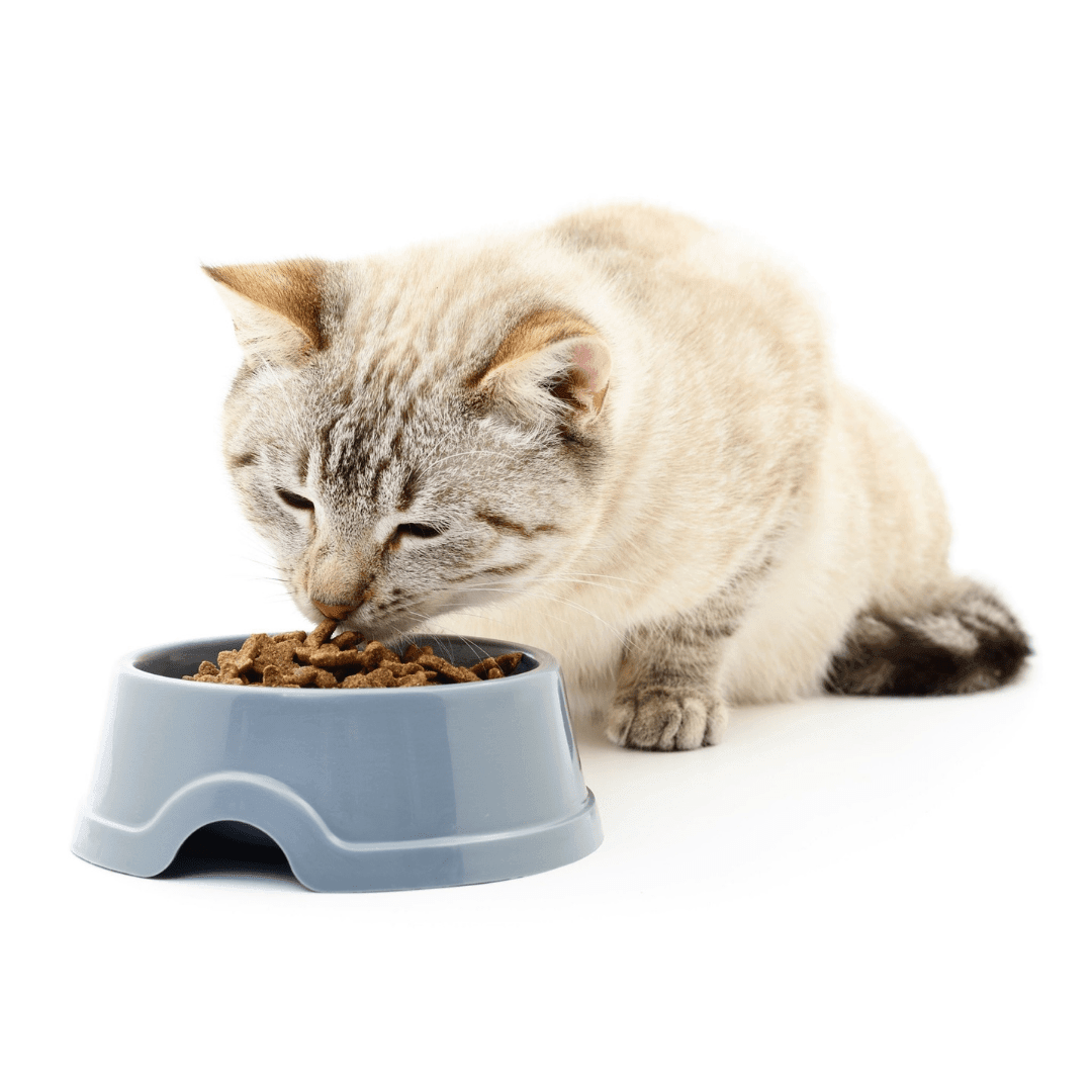 New Zealand Cat Food with Grains for All Life Stages (9 KG) - Kooky Kibble NZ
