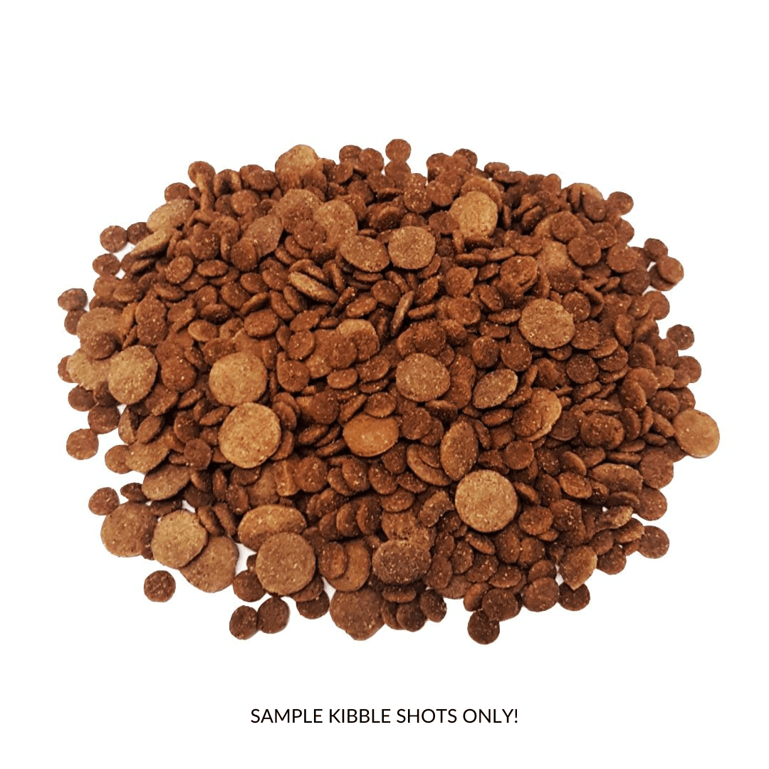 Kibble cat food outlet