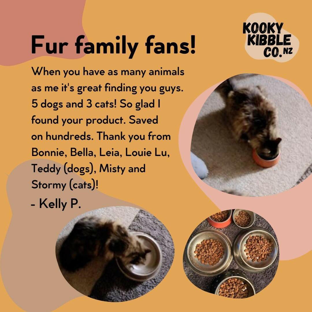 New Zealand Cat Food with Grains for All Life Stages (9 KG) - Kooky Kibble NZ