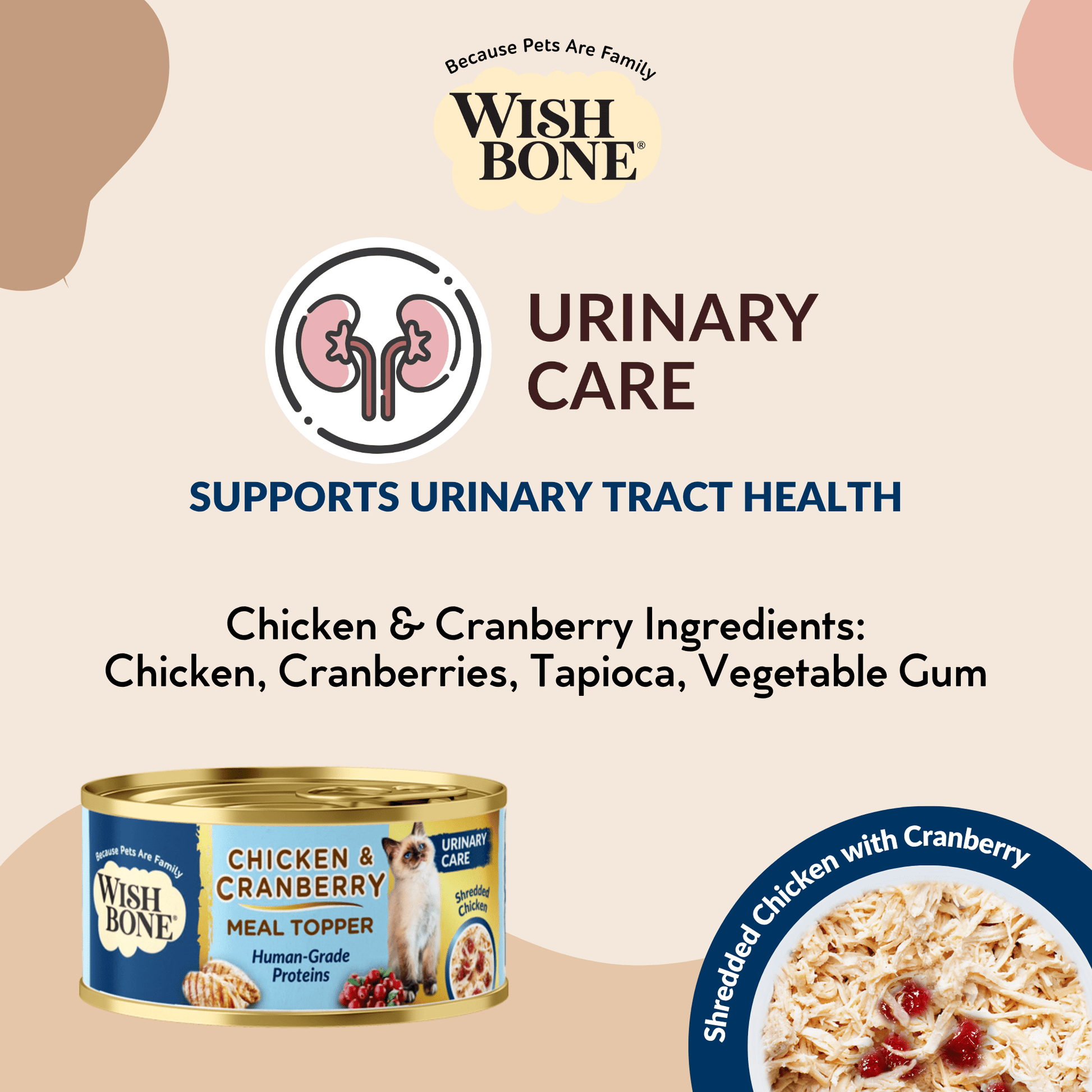 New Zealand Cat Kibbles and Cat Meal Topper Bundle Deals - Kooky Kibble NZ