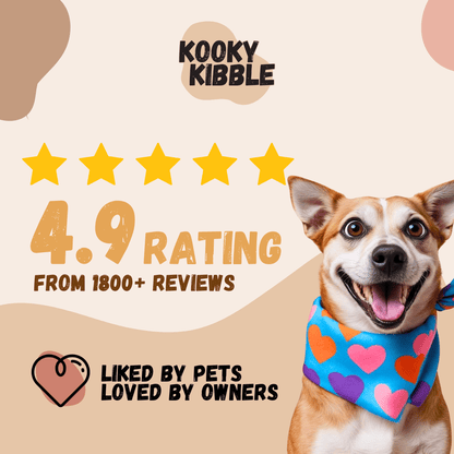 Affordable dog food with grains Kooky Kibble NZ
