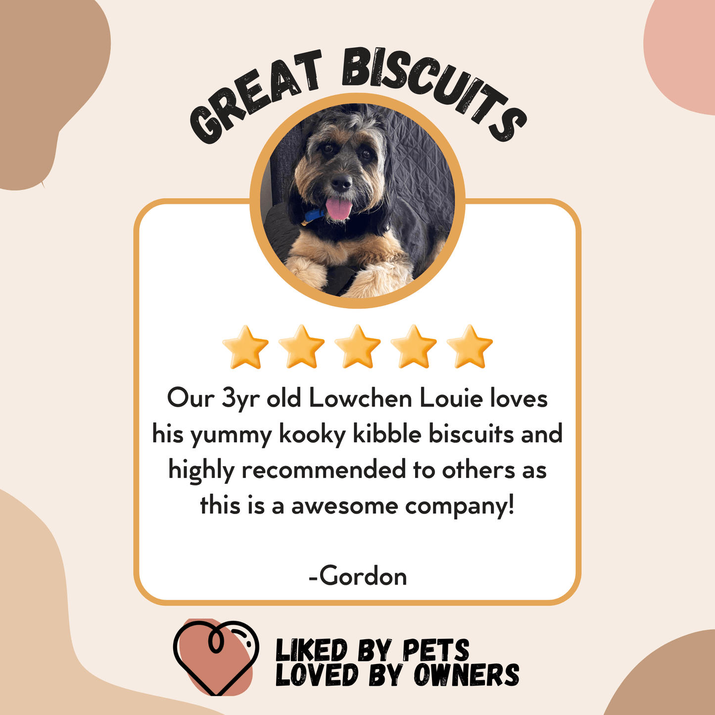 Grain free adult dog food kibble close up Kooky Kibble