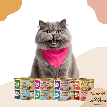 Wishbone urinary care cat food topper 85g cans bundle