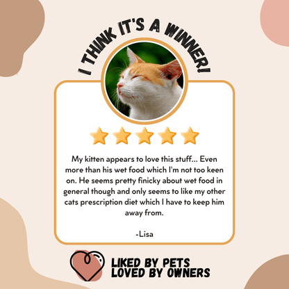 Wet cat food cans Wishbone urinary care recipe