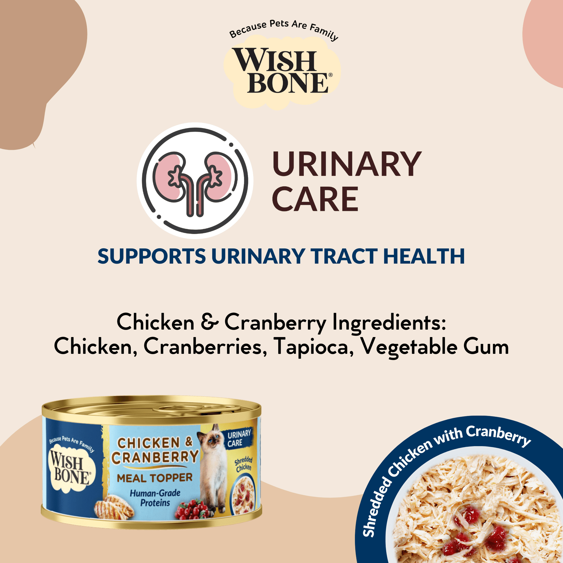 Cat food topper to mix with dry cat kibble
