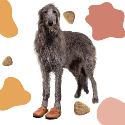 New Zealand Dog Kibbles 15 KG - Kooky Kibble NZ